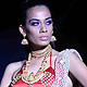 IIJW-2011