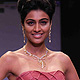 IIJW-2011