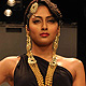 IIJW-2011