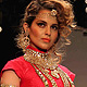 IIJW-2011