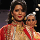 IIJW-2011