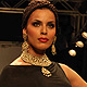 IIJW-2011