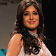 IIJW-2011