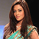 IIJW-2011