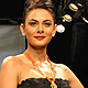 IIJW-2011