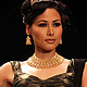 IIJW-2011