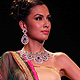 IIJW-2011