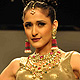 IIJW-2011