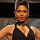 IIJW-2011