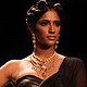 IIJW-2011