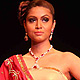 IIJW-2011