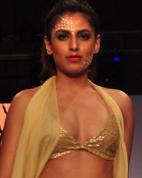 India Beach Fashion Week 2015