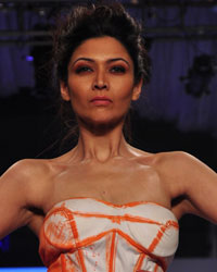 India Beach Fashion Week 2015