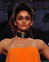 India Beach Fashion Week 2015