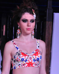 India Beach Fashion Week 2015