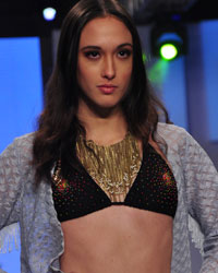 India Beach Fashion Week 2015