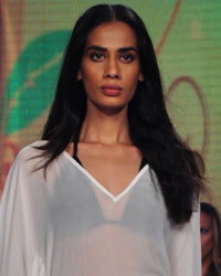 India Beach Fashion Week 2015