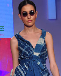 India Beach Fashion Week 2015