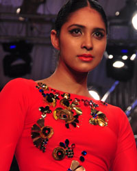 India Beach Fashion Week 2015