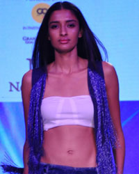 India Beach Fashion Week 2015