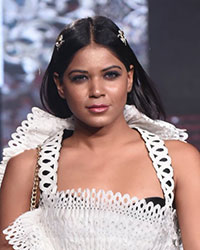 India Beach Fashion Week 2017