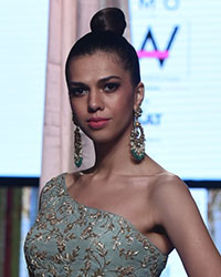 India Beach Fashion Week 2017