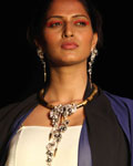 India International Jewellery Week 2012