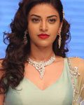 India International Jewellery Week 2012