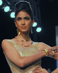 India International Jewellery Week 2013