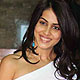 Genelia D'Souza