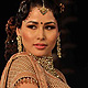 Indian Bridal Week 2011 Grand Finale