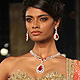 Indian Bridal Week 2011