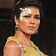 Indian Bridal Week 2011