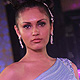 Indian Bridal Week 2011