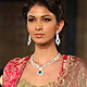 Indian Bridal Week 2011