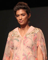 Kavita Bhartia Show at Wills India Fashion Week Spring Summer 2015