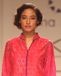 Krishna Mehta Show at LFW 2104