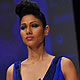 Lakme Fashion Week-2010