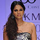 Lakme Fashion Week-2010