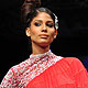 Lakme Fashion Week-2010