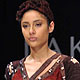 Lakme Fashion Week-2010