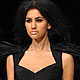 Lakme Fashion Week-2010