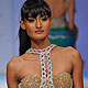 Lakme Fashion Week-2010