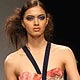 Lakme Fashion Week Spring/Summer 2010