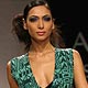 Lakme Fashion Week Spring/Summer 2010