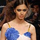 Lakme Fashion Week Spring/Summer 2010