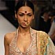 Lakme Fashion Week Spring/Summer 2010