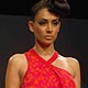 Lakme Fashion Week Spring/Summer 2010