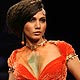 Lakme Fashion Week Spring/Summer 2010