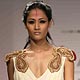 Lakme Fashion Week Spring/Summer 2010